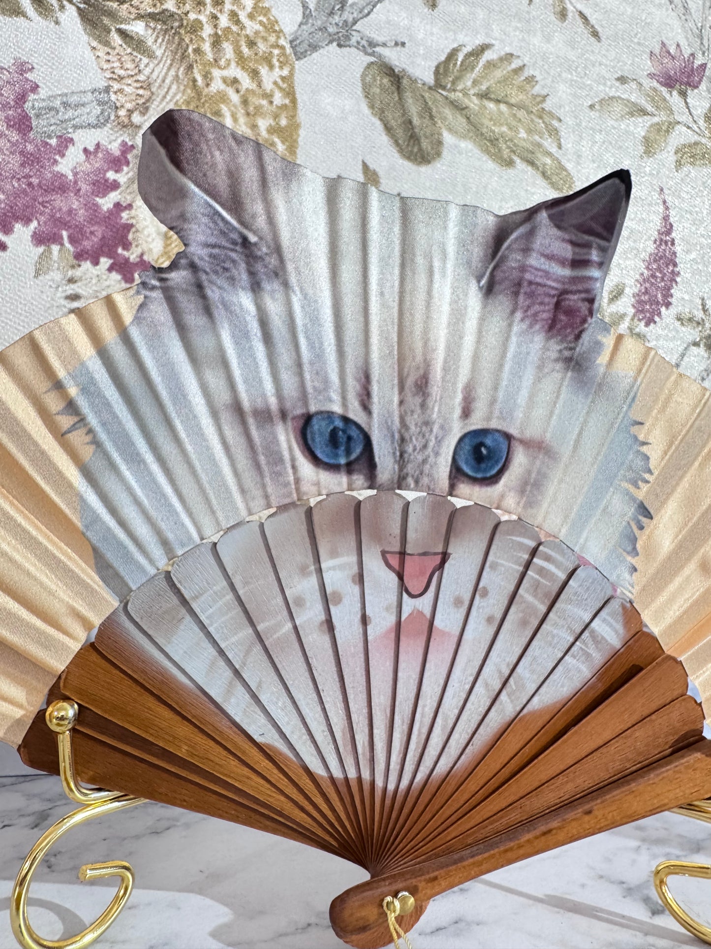 Ventaglio Seta Gatto