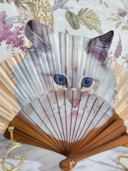 Ventaglio Seta Gatto